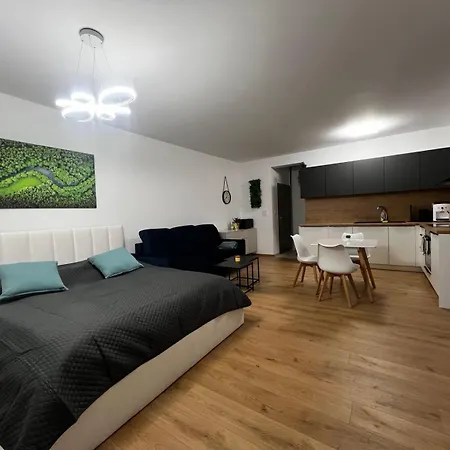 Apartnam Mony Апартаменты *